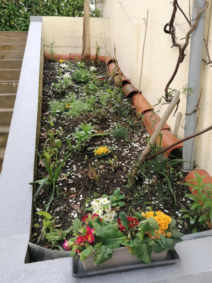 Gite Chez Pierrette Valence-sur-Baïse Eksteriør billede